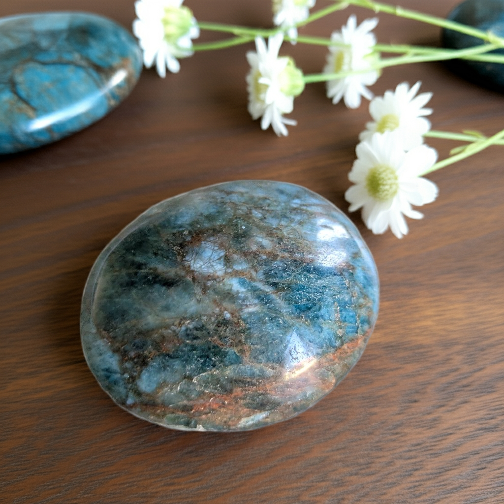 Blue Apatite Palm stone for enhanced communication and throat chakra balancing with white flowers
