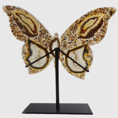 Brazilian agate butterfly showing unique patterns and formations