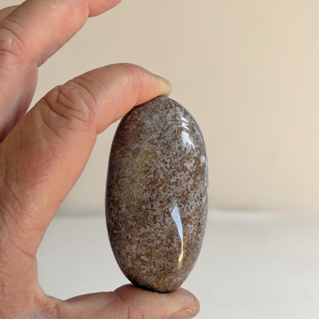 Madagascar Ocean Jasper Palmstone for grounding meditation practice